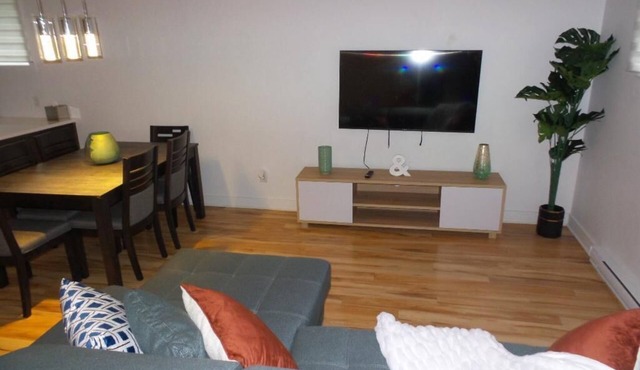 Bright room in a 3 and a half with sofa bed to rent for your stays