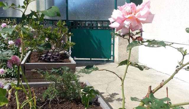 Bright room with private bathroom/Bright room with private bathroom