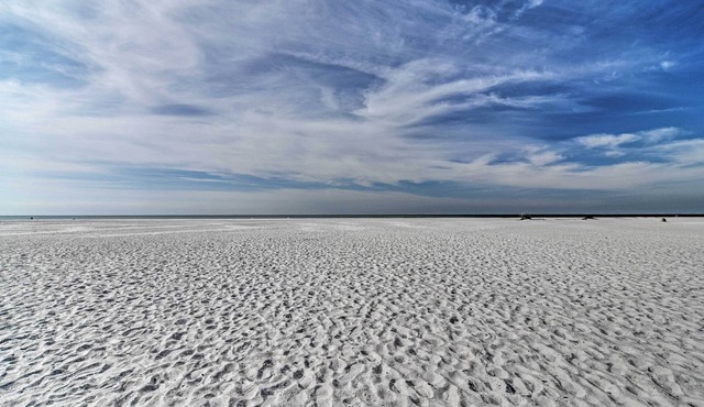 Bright Sarasota Bungalow - 5 Mi to Siesta Beach!