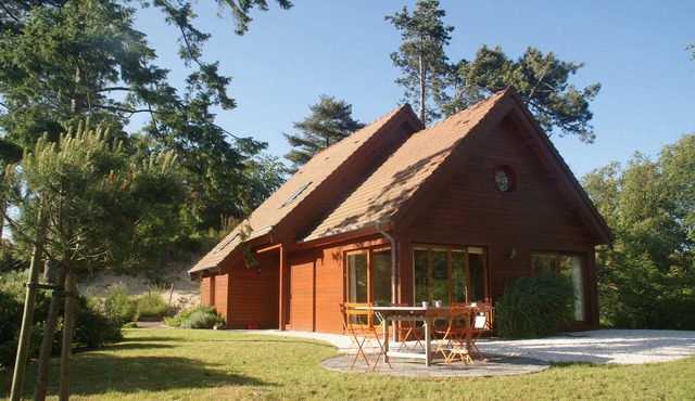 Bright spacious villa with nice garden