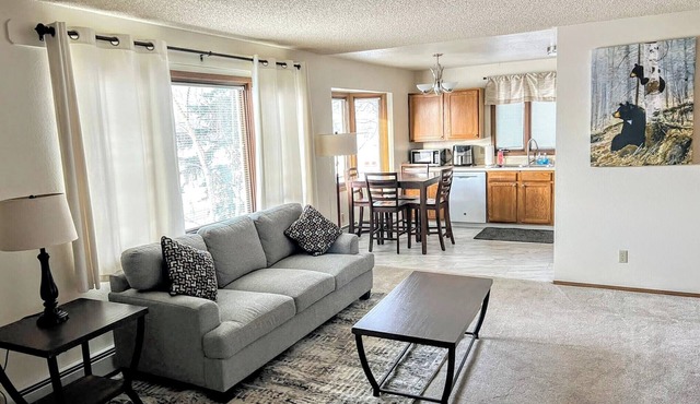 Bright & Spacious Downtown 2 Bedroom Apt w/King bed!
