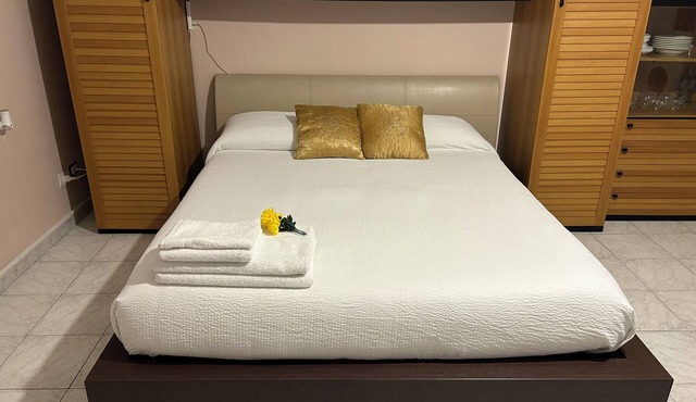 Bright Studio Apartment Serviced Area