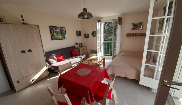 Bright studio in La Roche-Posay center with WIFI, washer, dishwasher, pets allowed