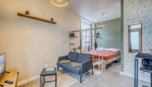 Bright studio in the heart of Bordeaux