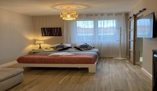 Bright studio with parking in Toulouse