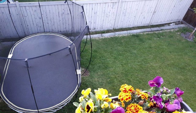 Bright, Welcoming Mountain Escape! Near Downtown!