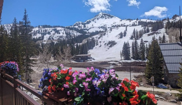 Brighton Chalet | Big Cottonwood 2 Bedroom