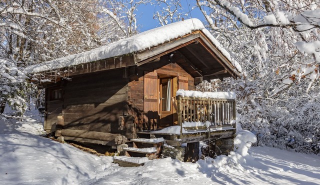 Brigitte's Mazot in central Chamonix