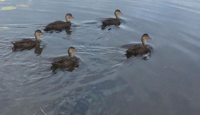 Brigus Valley View RV 2 of 2 Camping Experience