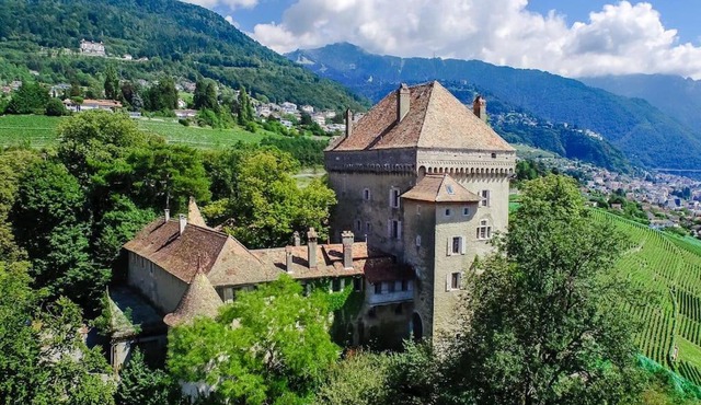 Brilliant apartment in Château du Châtelard