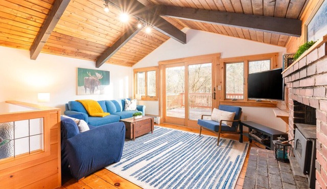 Bring the dog-colorful SacoRiver