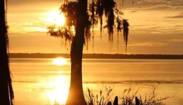 Bring your Boat to our River House and enjoy the beautiful St Johns River.
