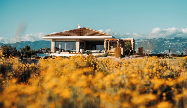 Brioni - Plant Villas