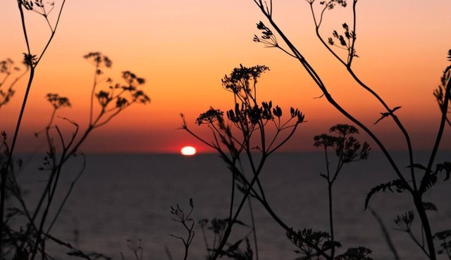 Brise du Large, Maison d'Ault - Charming property on a cliff.