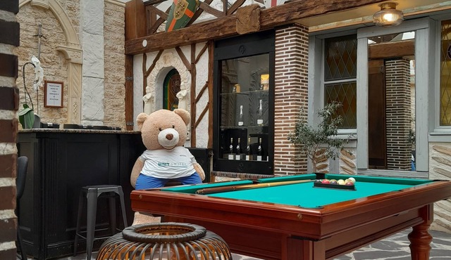 Brit Hotel Les Comtes de Champagne Centre Historique