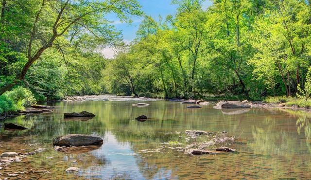 Broad River Roost - Dog Friendly Cabin With Riverfront Fire Pit