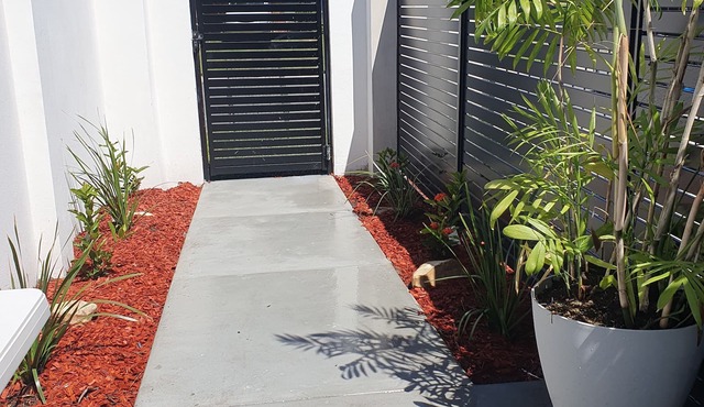 Broadbeach Tropical Gem with Lux features