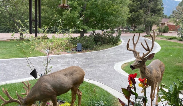 Broadmoor-Pool Mountain Theater Rm 4 Bedroom 3 Bath STR-25-0550
