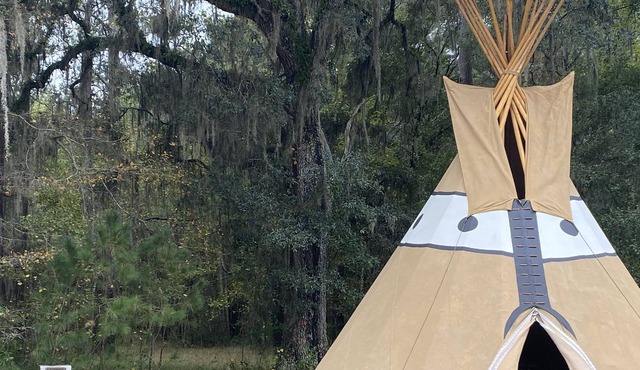 Broken Tree Tipi Experience MANY MOONS