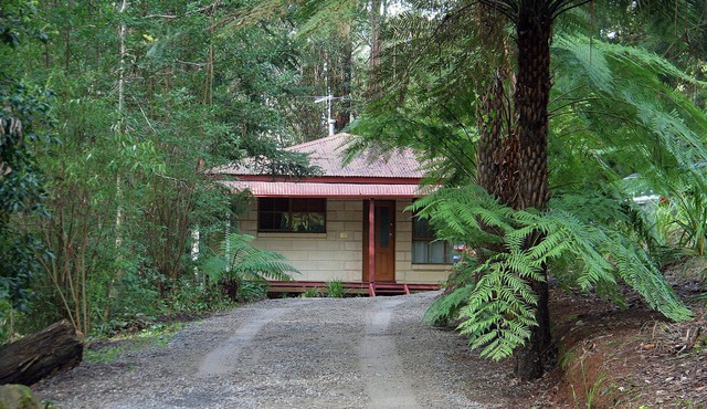 Brook Cottage. 7 Acre Rain Forest Paradise