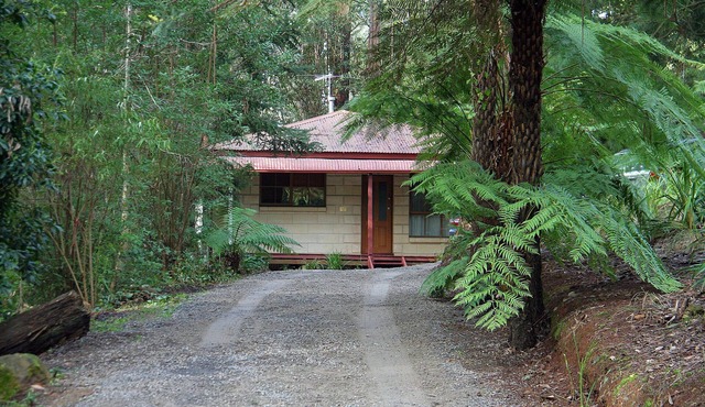 Brook Cottage: Private rainforest with river