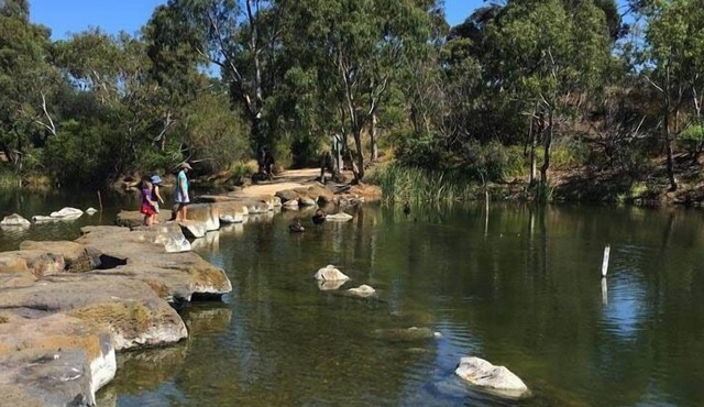 Brooklyn Bliss - Amidst Nature's Charm!