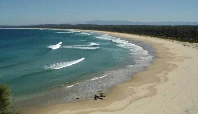 Broulee - Pet Friendly Coastal Delight!