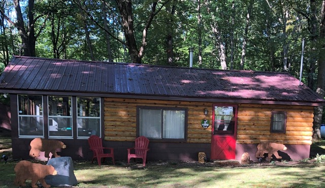 Brown Bear Bunker-All Seasons Log Cabin Retreat -Relax, Swim, Hike, ATV and Fish