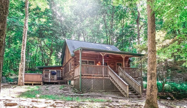 Brown Bear Cabin w/ wifi, free park pass & HOT TUB!