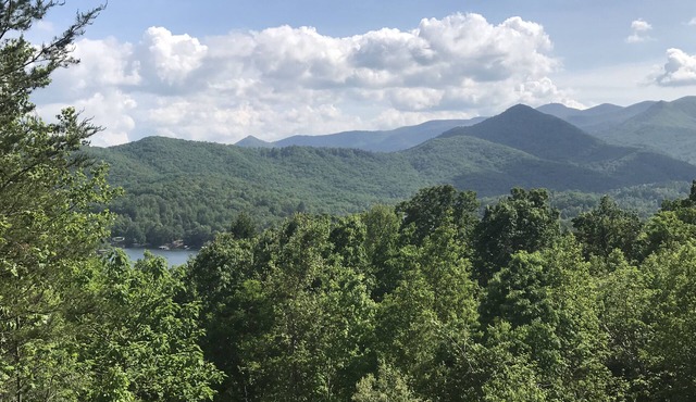 Brown Bear Hideaway, Beautiful Mtn View, Screen Porch, King, 2 miles to town