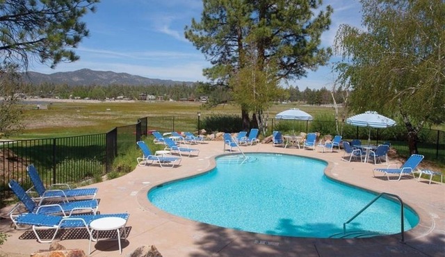 Brown Bear's Den Condo