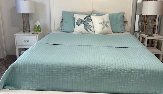 Brown Bunny BnB — Immaculate Private Room in Picturesque Palmetto, FL WiFi