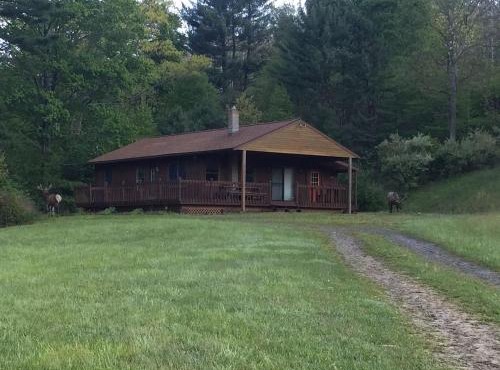 Brown Drake Lodge