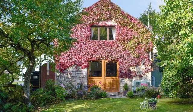 Bryn Dedwydd Cottage