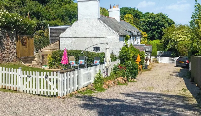 Bryn Euryn Cottage - 28135
