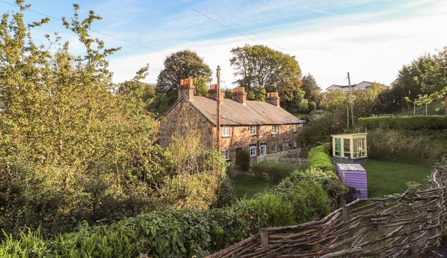 BRYN NOPHFA, pet friendly, with open fire in Flint Mountain