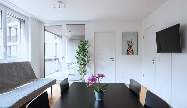 BS Owl II - Messe HITrental Apartment