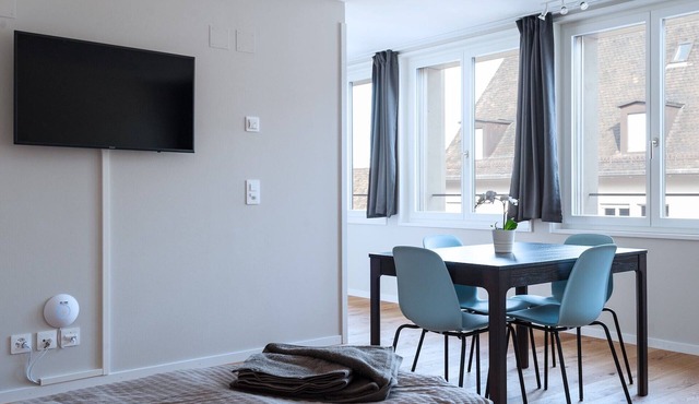 BS Van Gogh III - Marktplatz HITrental Apartment