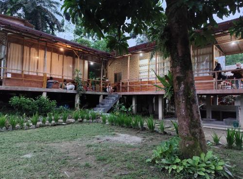 Bua Guesthouse Tangkahan