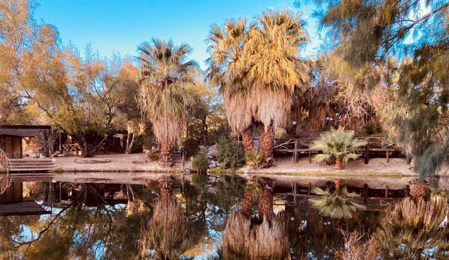 Bubbling Wells Oasis