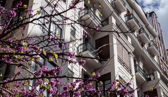 BUBUFLATS Ayuntamiento