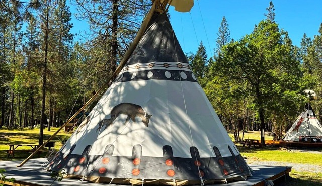 Buck and Does - 20' - Sleeps up to 4 - Restrooms and Showers are only a short walk away.