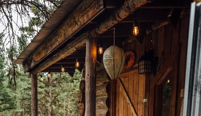 Buck Ridge Log Cabin Wild game everywhere