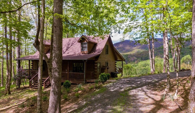 Buck Ridge - Mtn views, hot tub, perfect location!