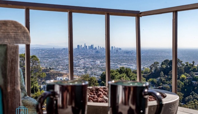 Bucket List Must! "Best Jet Liner Views" in LA Dogs Ok