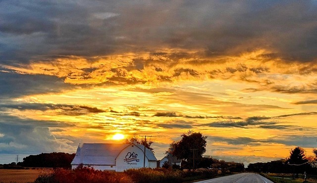 Buckeye Bungalow 2 Park-Beach-Bonfires-Bikes. Near everything & dog friendly