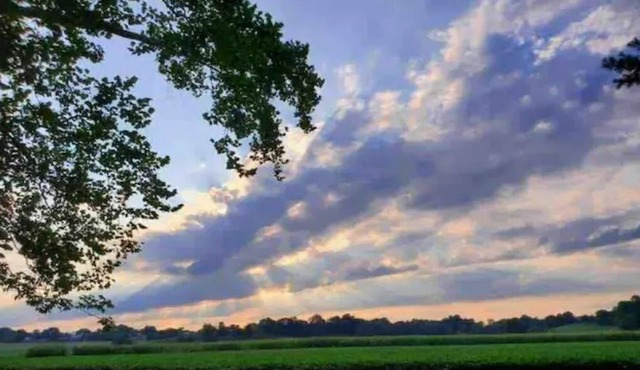 Buckeye on the Creek