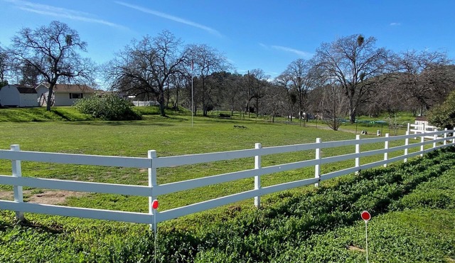 Buckeye Ridge - hideaway in nature near Sequoia & Kings Canyon National Parks