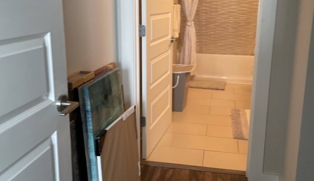 Buckhead 2 bedroom 2 bathroom Condo 420 friendly