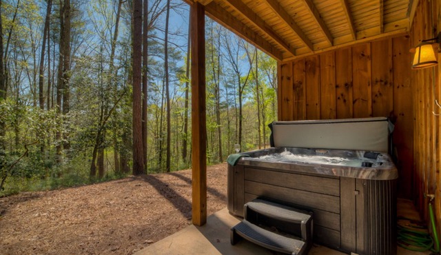 Buckingham Palace by Escape to Blue Ridge